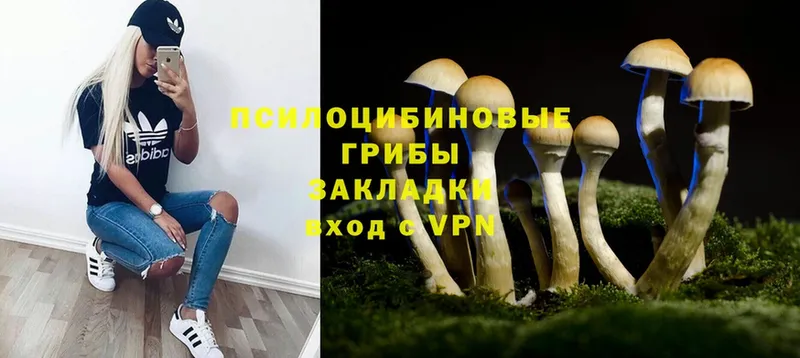 Псилоцибиновые грибы MAGIC MUSHROOMS  Апрелевка 